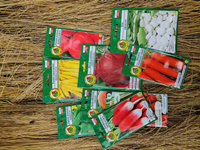 VEGETABLES FOR STARTER seed kit