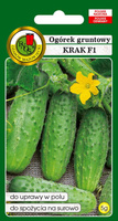 Ogórek gruntowy KRAK F1 5g (Cucumis sativus)