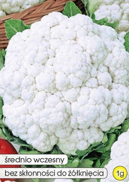 Cauliflower DELTA 1g (Brassica oleracea convar. botrytis)