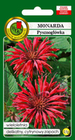 Mixed Monarda 0.1g (Monarda didyma)