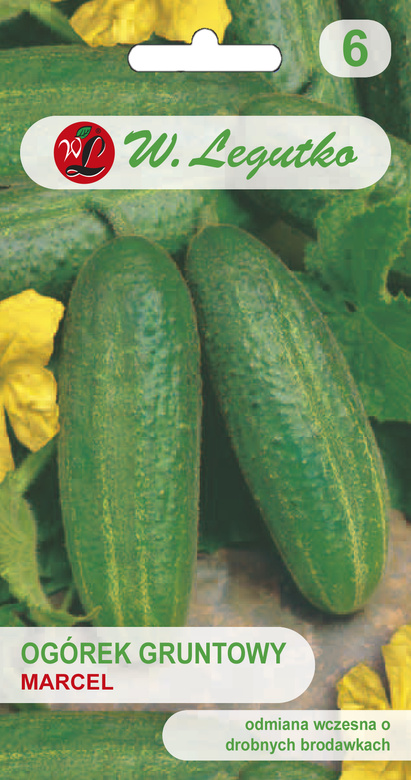 Pickling cucumber MARCEL 5g (Cucumis sativus)