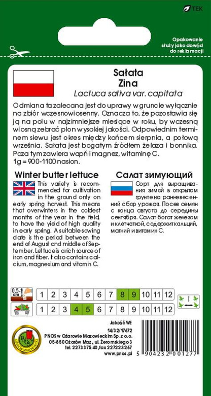 Winter Butterhead Lettuce ZINA 1g (Lactuca sativa var. capitata)