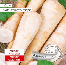 Root parsley OLOMUNTSKA 6m