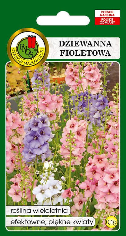 Purple Mullein Mix 0.1g (Verbascum phoenicum)