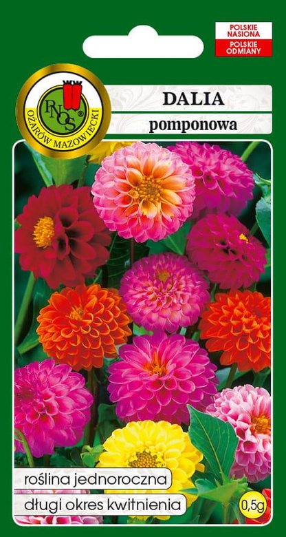 Dalia pomponowa mieszanka kolorów 0,5g  (Dahlia pinnata fi. pl.)