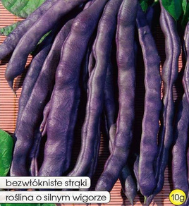 Fasola szparagowa fioletowa tyczna BLAUHILDE 10g (Phaseolus vulgaris)