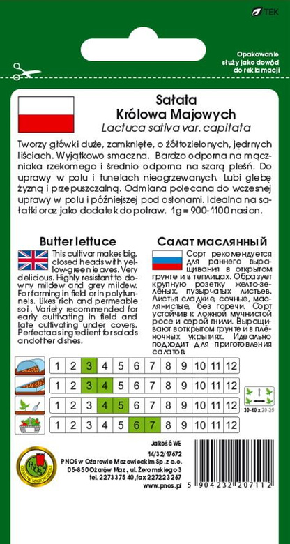 Butterhead lettuce QUEEN OF MAY - QUEEN OF MAY TOR 1g (Lactuca sativa var.capitata)