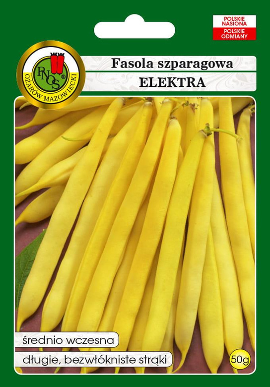 Fasola szparagowa żółta karłowa ELEKTRA 50g (Phaseolus vulgaris)