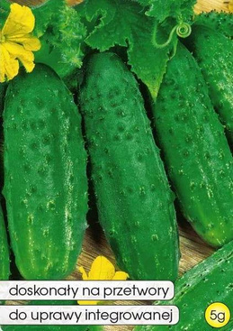 Ogórek gruntowy KRONOS SKIERNIEWICKI F1 5g (Cucumis sativus)