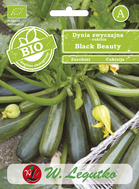 Zucchini Squash BLACK BEAUTY 2g BIO (Cucurbita pepo)