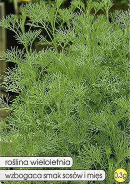 Wormwood 0.3g (Artemisia absinthium)