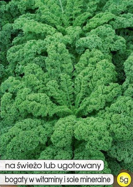 Dwarf Green Curled Kale 5g (Brassica oleracea L. convar. acephala)