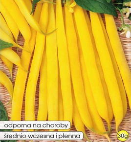 Yellow dwarf GALOPKA green bean 30g (Phaseolus vulgaris)
