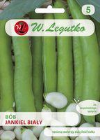 Bób ogrodowy JANKIEL BIAŁY 50g (Vicia faba)