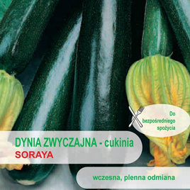 Cukinia Dynia zwyczajna SORAYA 2g (Cucurbita pepo)