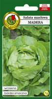 Sałata głowiasta masłowa MADERA 1g (Lactuca sativa var.capitata)