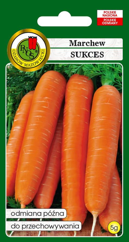 Edible carrot SUCCESS 5g (Daucus carota)