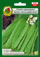 Fasola szparagowa zielona tyczna HILDS NECKARKONIGIN 10g (Phaseolus vulgaris)