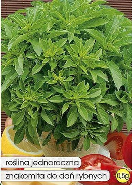 Lemon Basil (Ocimum basilicum citrodiora) 0.5g