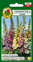 Foxglove perennial GLOXINIAEFLORA mix 1g (Digitalis purpurea)