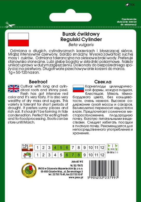 Burak ćwikłowy REGULSKI CYLINDER 20g (Beta vulgaris)