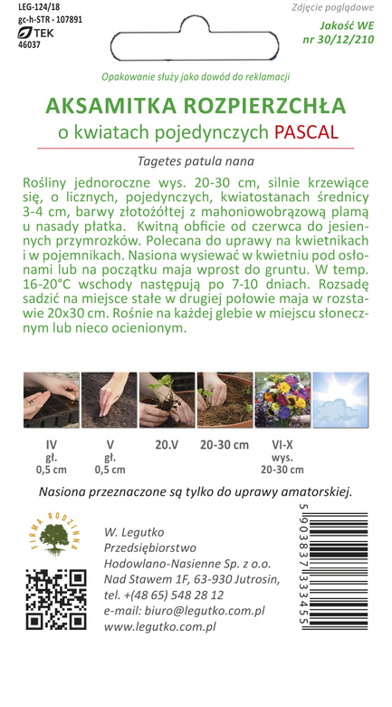 French marigold PASCAL 1g (Tagetes patula nana)