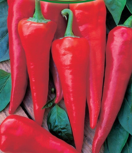 Cyclone Red Hot Pepper 0.5g (Capsicum annuum)