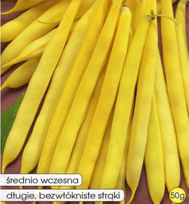 Yellow dwarf asparagus bean ELEKTRA 50g (Phaseolus vulgaris)