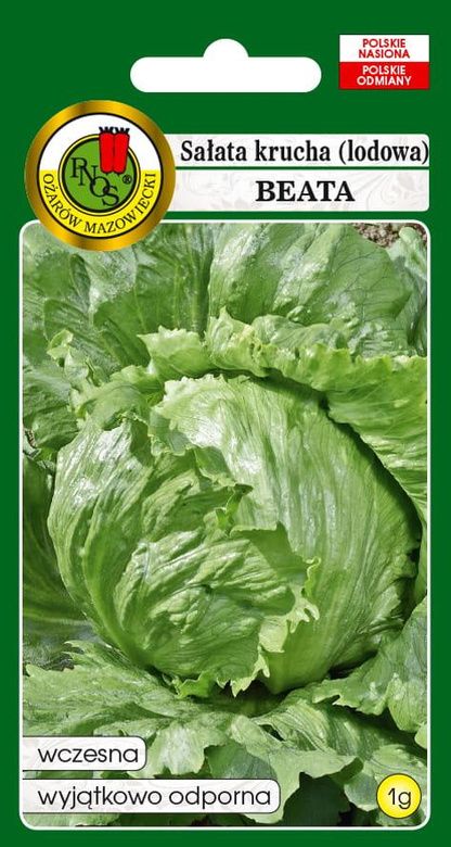 Crisphead lettuce BEATA 1g (Lactuca sativa var.capitata)