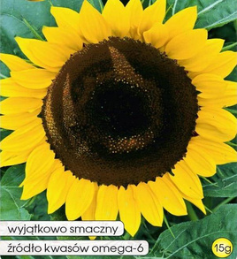 Słonecznik ogrodowy jadalny 20g (Helianthus annuus)