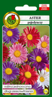 Aster pojedynczy mieszanka kolorów 0,8g (Callistephus chinensis)