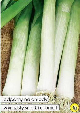 For GOLEM 1g (Allium porrum)