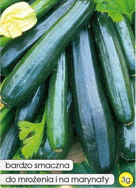 Zucchini Pumpkin Common NEFRYT F1 3g (Cucurbita pepo)