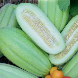 Ogórek melonowy CAROSELLO BARESE 2g (Cucumis adzur)