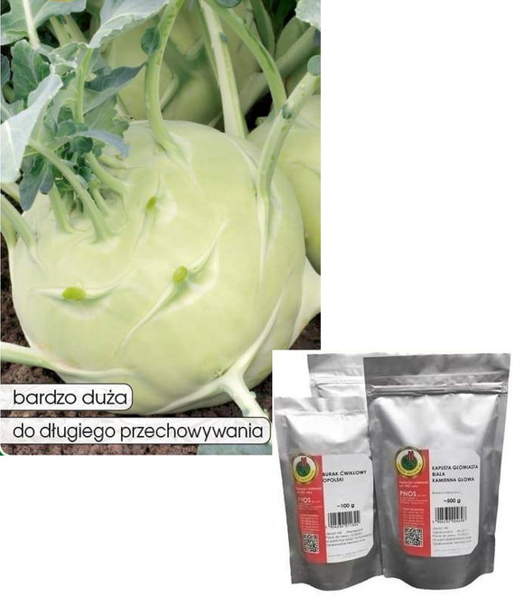 Giant Kohlrabi 50g (Brassica oleracea var. gongylodes)