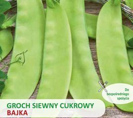 Groch siewny cukrowy BAJKA 40g (Pisum sativum)