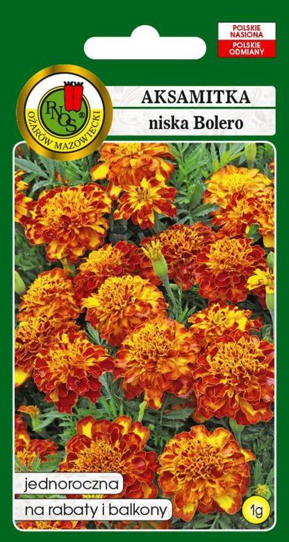 Aksamitka pełna niska BOLERO miodowo-mahoniowa 1g (Tagetes patula nana fl. pl.)