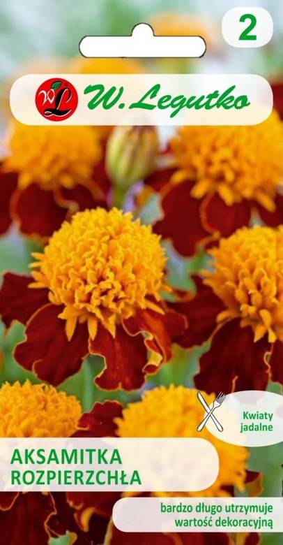 Aksamitka rozpierzchła ORANGE FLAME 1g (Tagetes patula nana)