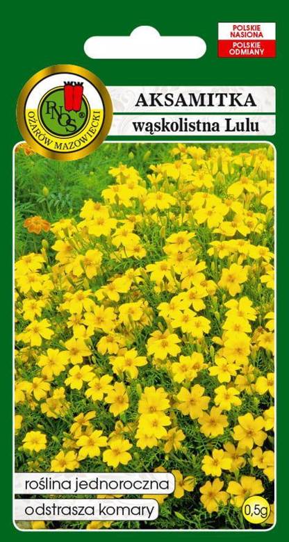 Aksamitka wąskolistna LULU cytrynowożółta 0,5g (Tagetes tenuifolia)