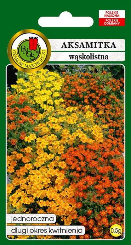 Aksamitka wąskolistna STARFIRE mieszanka kolorów 0,5g (Tagetes tenuifolia)