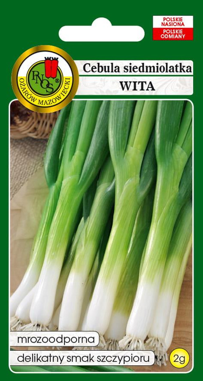 Cebula siedmiolatka WITA 2g (Allium fistulosum)