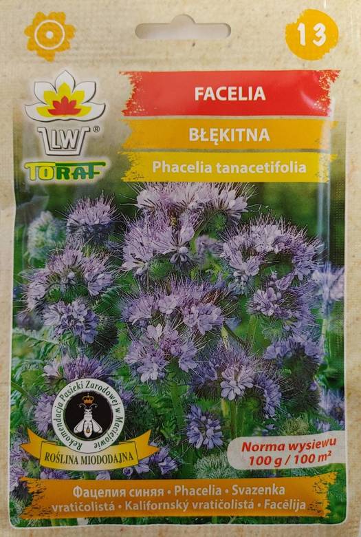 Facelia błękitna 50g (Phacelia tanacetifolia)