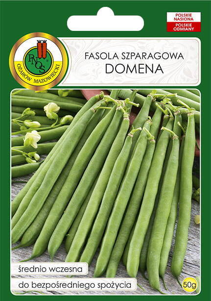 Fasola szparagowa zwykła karłowa zielona DOMENA 50g (Phaseolus vulgaris)