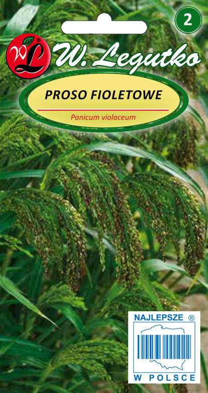 Proso fioletowe 3g (Panicum violaceum)