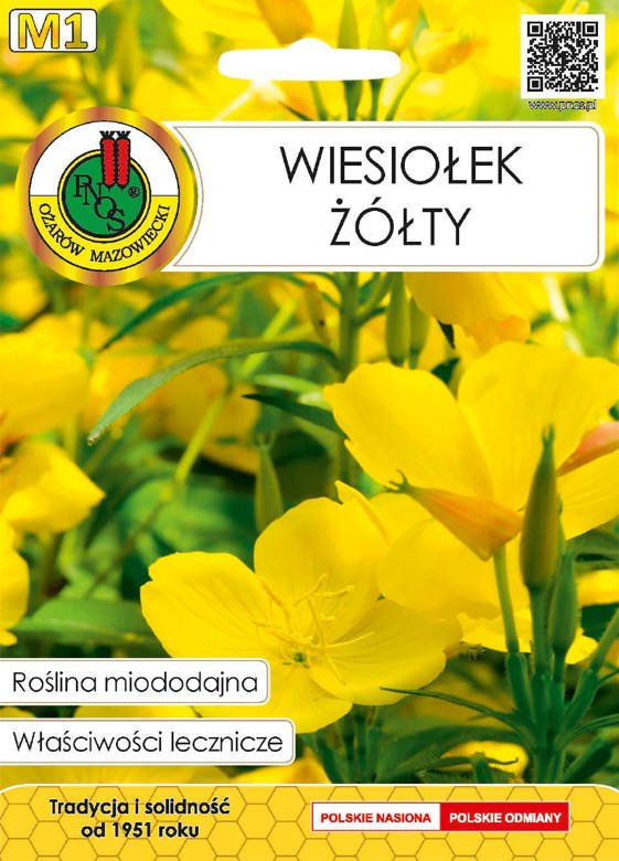 Wiesiołek żółty 0,3g (Oenothera missouriensis)